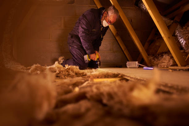Best Insulation Maintenance and Repair in Bolivar Peninsula, TX
